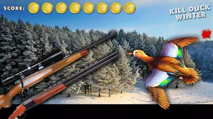 Play Kill Duck Winter