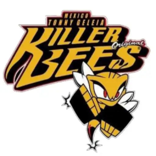 Play Killer Bees Timer APK