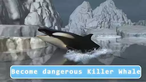Play Killer Whale Orca Simulator and enjoy Killer Whale Orca Simulator with UptoPlay Play Killer Whale Orca Simulator and enjoy Killer Whale Orca Simulator with UptoPlay
