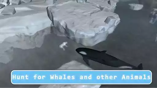 Play Killer Whale Orca Simulator as an online game online Killer Whale Orca Simulator with UptoPlay com.wildanimals.orcasimulator Play Killer Whale Orca Simulator as an online game Killer Whale Orca Simulator with UptoPlay