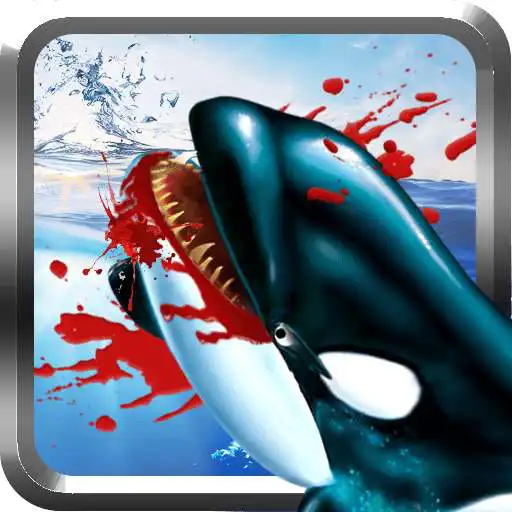 Free play online Killer Whale Simulator 3D  APK