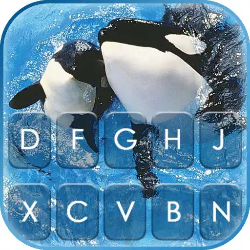 Play Killer Whales Keyboard Background APK Play Killer Whales Keyboard Background APK