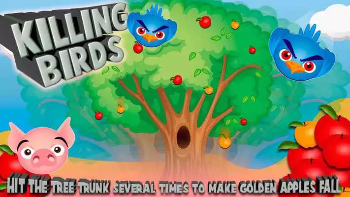 Play Killing Birds