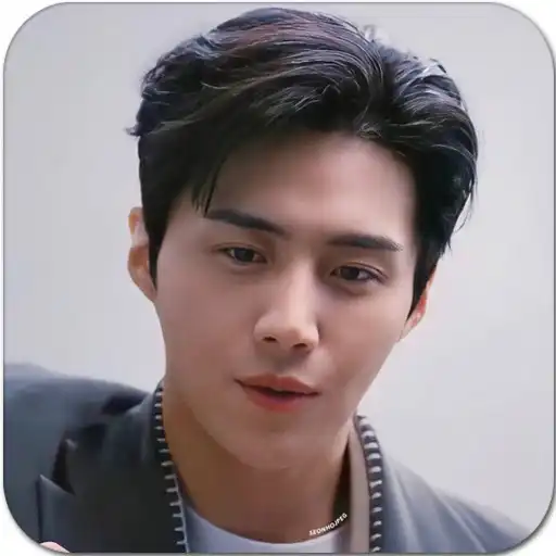 Play Kim Seon-ho Wallpaper APK Play Kim Seon-ho Wallpaper APK