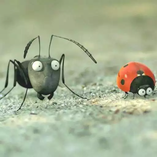 Play King Ant and friends : funny Ant Cartoon Movie HD APK