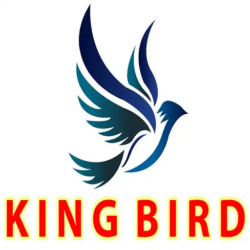 Play kingbird APK