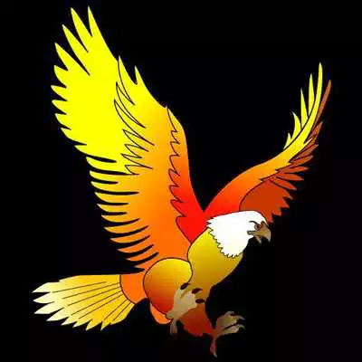 Play kingbird  and enjoy kingbird with UptoPlay