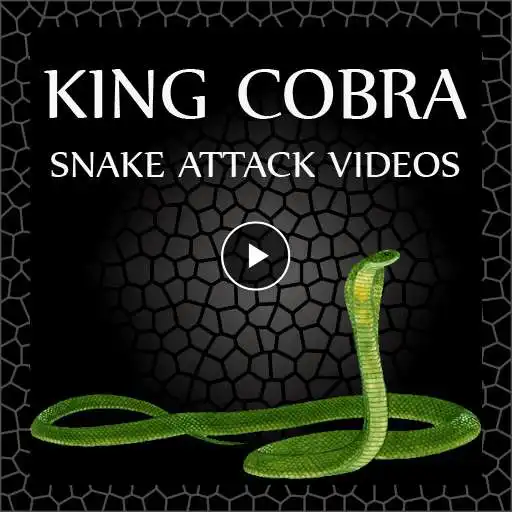 Free play online King Cobra Snake - Videos APK
