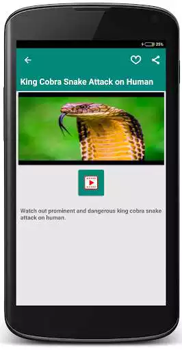 Play King Cobra Snake - Videos Play King Cobra Snake - Videos