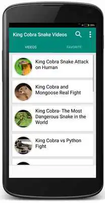 Play King Cobra Snake - Videos Play King Cobra Snake - Videos
