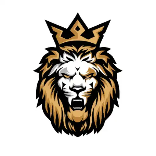 Play KingFast VPN APK