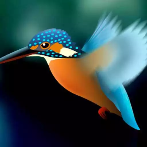 Free play online Kingfisher LiveWallpaper Trial APK Free play online Kingfisher LiveWallpaper Trial APK