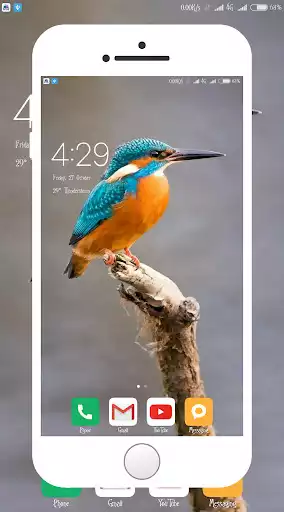 Play Kingfisher Wallpaper