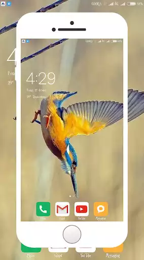 Play Kingfisher Wallpaper