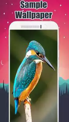 Play Kingfisher Wallpaper