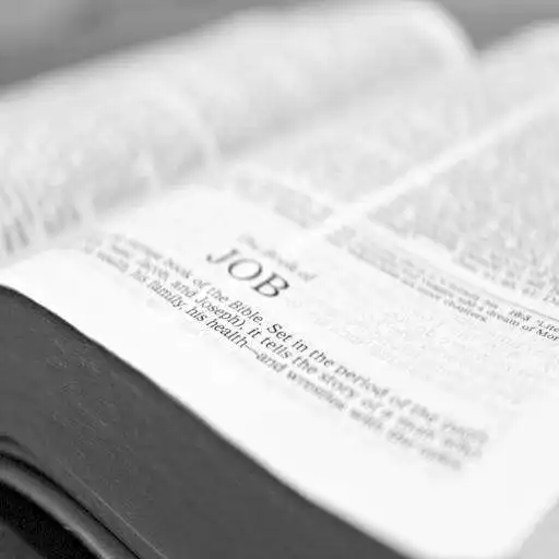 Free play online King James Bible Trivia APK
