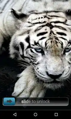 Play King Tiger 3D Locker Theme Play King Tiger 3D Locker Theme