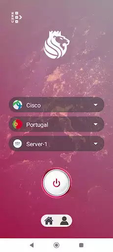 Play King VPN