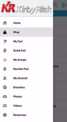 Play Kirby Risk Electrical Supply