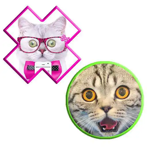 Play KitCatToe Real APK Play KitCatToe Real APK