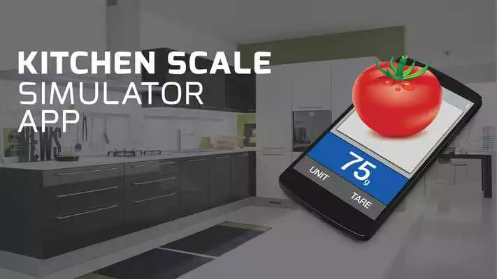 Play Kitchen Scale simulator fun