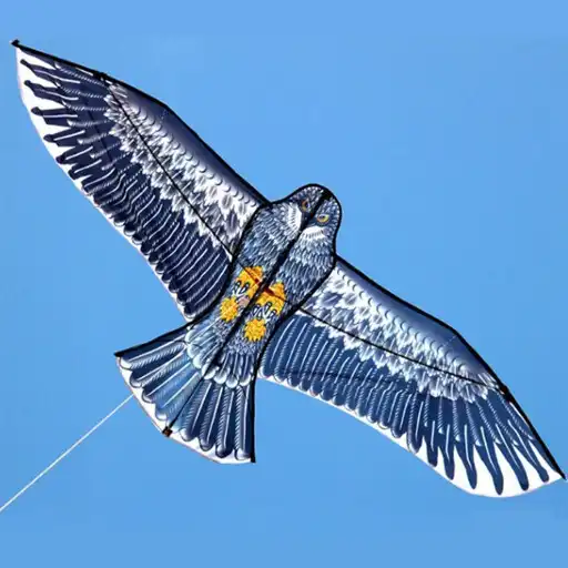 Play Kites Designs APK Play Kites Designs APK