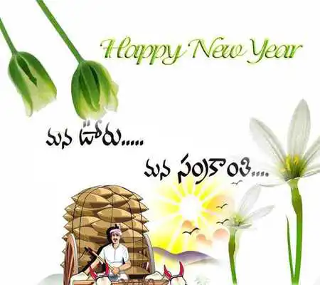 Play Kites Pongal Live Wallpaper