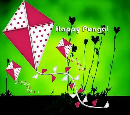 Play Kites Pongal Live Wallpaper