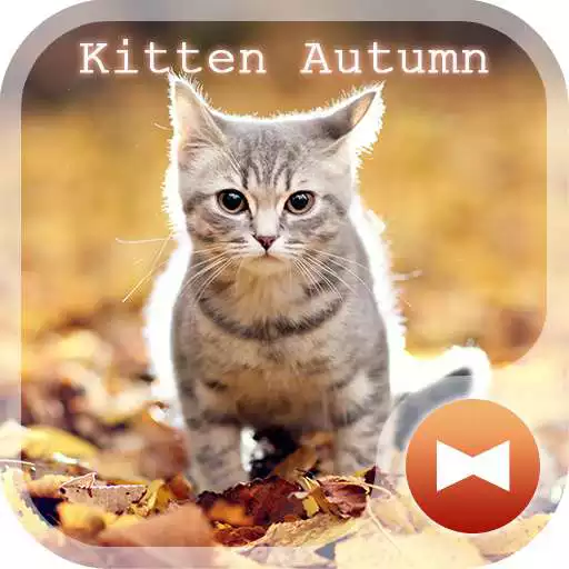 Run free android online Kitten Autumn CatTheme APK Run free android online Kitten Autumn CatTheme APK