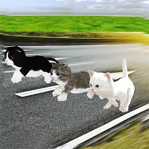 Play Kitten Cat Craft Racing:Cute Cat World Tournament APK Play Kitten Cat Craft Racing:Cute Cat World Tournament APK
