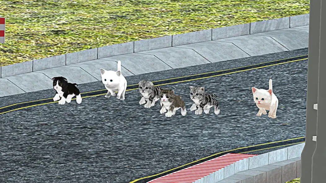 Play Kitten Cat Craft Racing:Cute Cat World Tournament  and enjoy Kitten Cat Craft Racing:Cute Cat World Tournament with UptoPlay