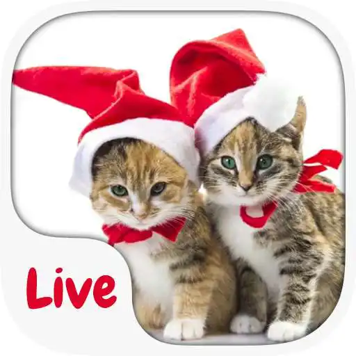 Free play online Kitten Live KeyboardTheme APK Free play online Kitten Live KeyboardTheme APK