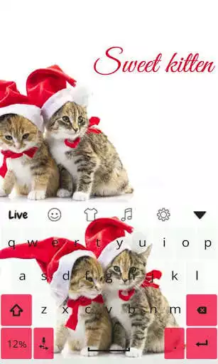 Play Kitten  Live KeyboardTheme