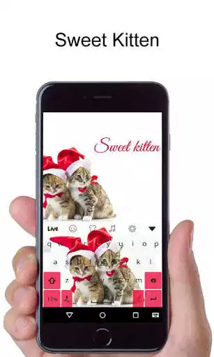 Play Kitten  Live KeyboardTheme