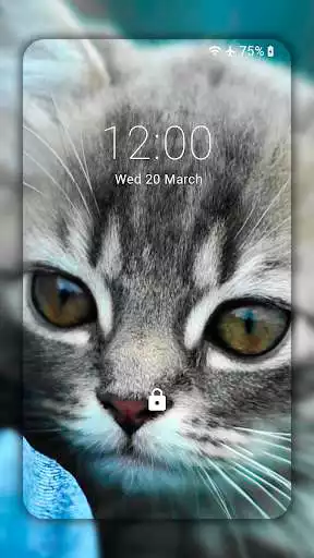 Play Kittens & Cats Wallpaper HD (backgrounds) as an online game Kittens & Cats Wallpaper HD (backgrounds) with UptoPlay