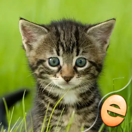 Play Kittens Jigsaw - Puzzle Games APK