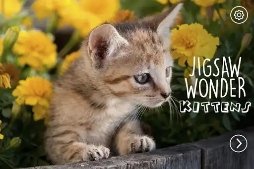 Play Kittens Jigsaw - Puzzle Games  and enjoy Kittens Jigsaw - Puzzle Games with UptoPlay