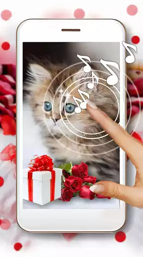 Play Kittens-Live Wallpaper  and enjoy Kittens-Live Wallpaper with UptoPlay