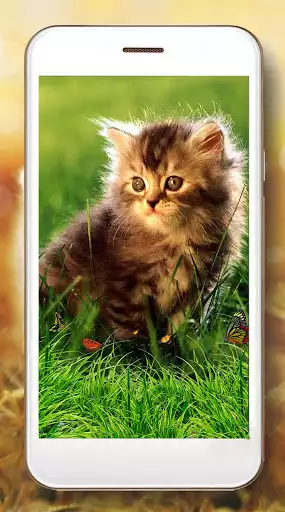 Play Kittens-Live Wallpaper as an online game Kittens-Live Wallpaper with UptoPlay
