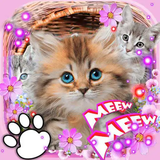 Play Kittens Lovely LWP APK Play Kittens Lovely LWP APK