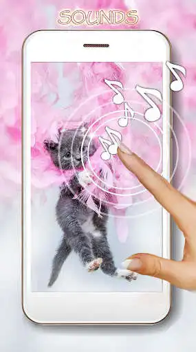 Play Kittens Lovely LWP  and enjoy Kittens Lovely LWP with UptoPlay