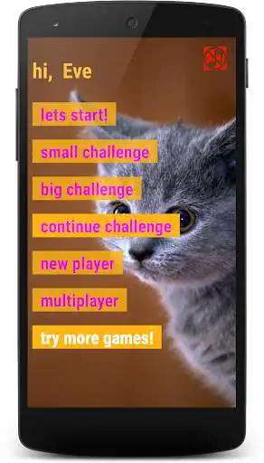 Play Kittens Memory Game with photos of cute kittens  and enjoy Kittens Memory Game with photos of cute kittens with UptoPlay