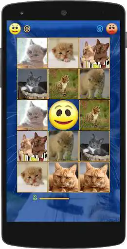 Play Kittens Memory Game with photos of cute kittens as an online game Kittens Memory Game with photos of cute kittens with UptoPlay