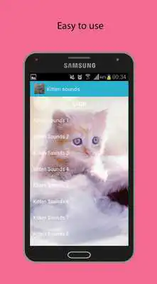 Play Kitten sounds