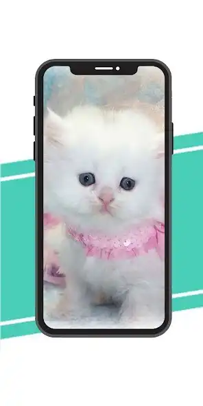 Play Kittens Wallpaper  and enjoy Kittens Wallpaper with UptoPlay