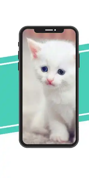 Play Kittens Wallpaper as an online game Kittens Wallpaper with UptoPlay