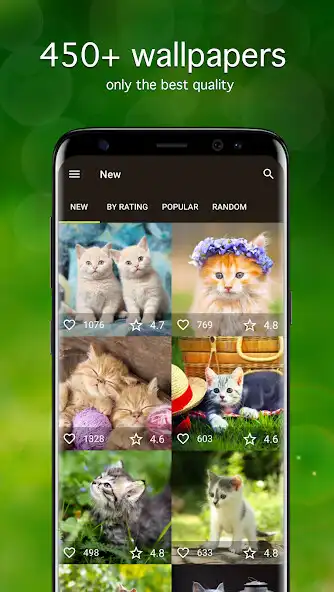 Play Kitten Wallpapers PRO  and enjoy Kitten Wallpapers PRO with UptoPlay