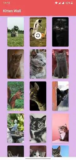 Play Kitten Wall as an online game Kitten Wall with UptoPlay