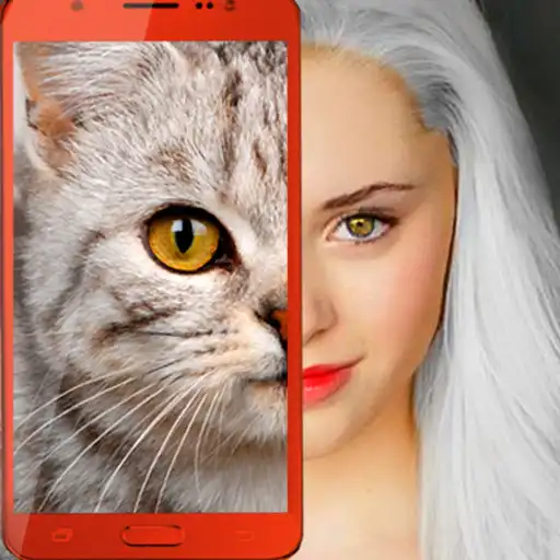 Play Kitten: what cat are you? joke APK