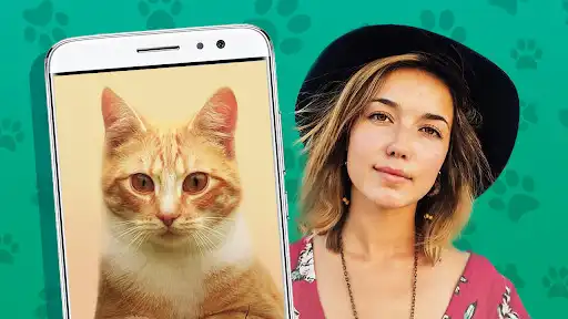 Play Kitten: what cat are you? joke  and enjoy Kitten: what cat are you? joke with UptoPlay